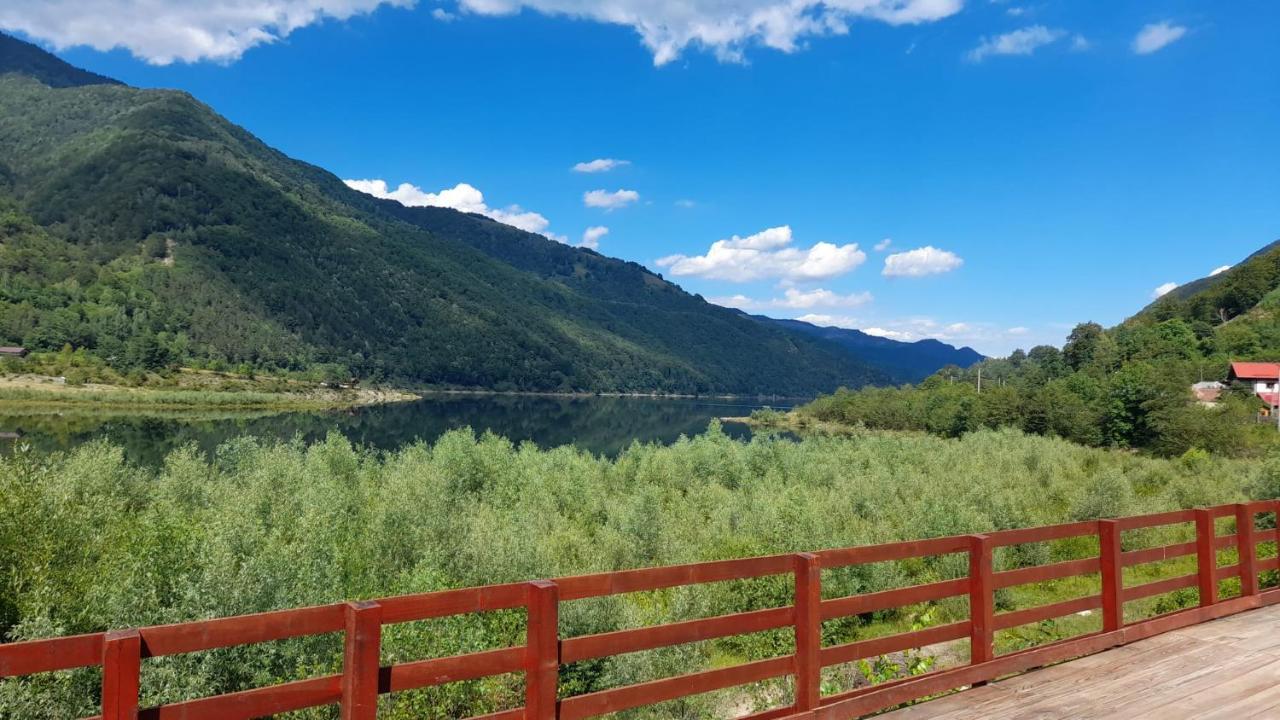 Guest house Pensiunea Alpina 3*
