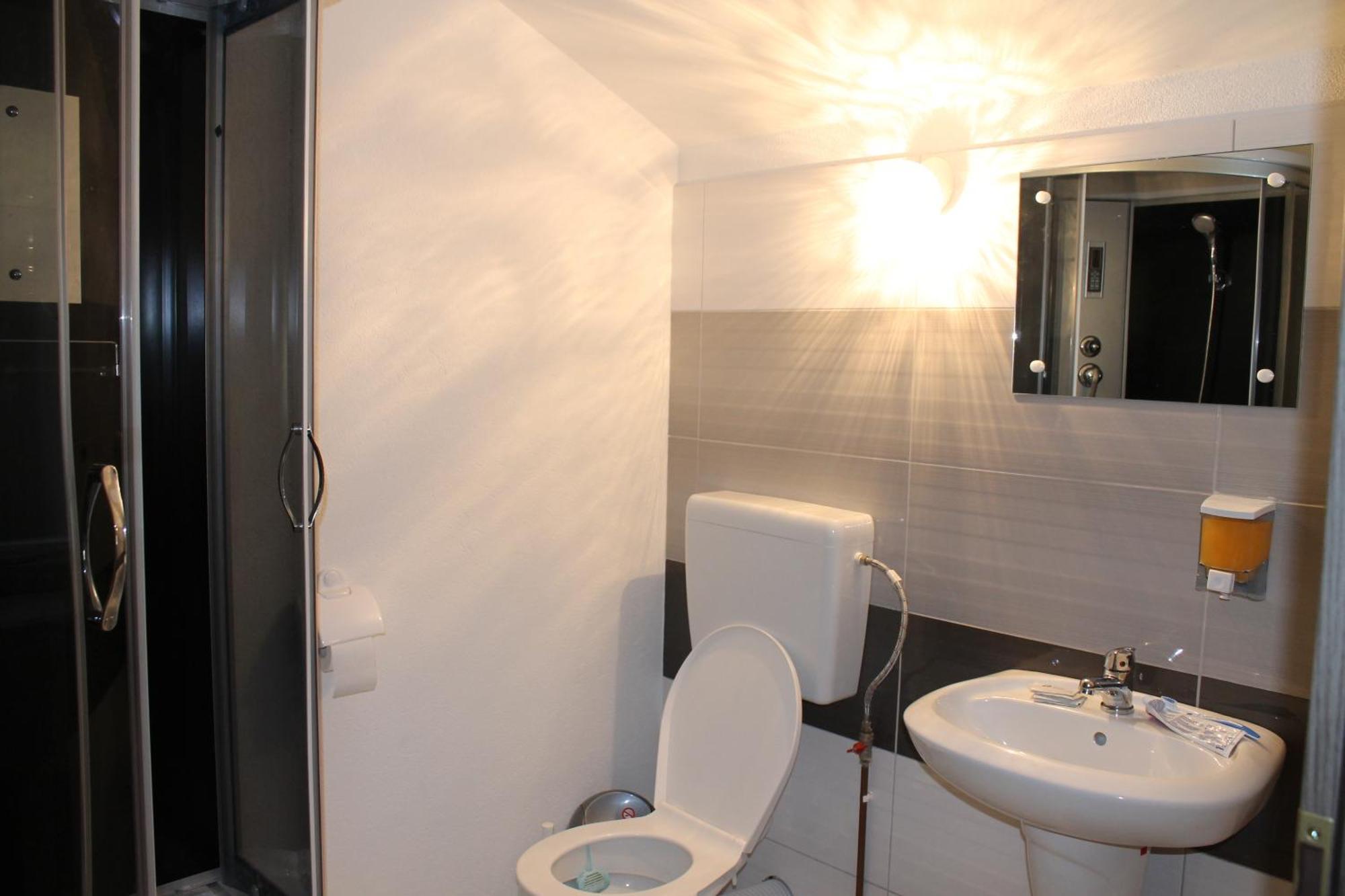 Guest house Pensiunea Alpina 3*