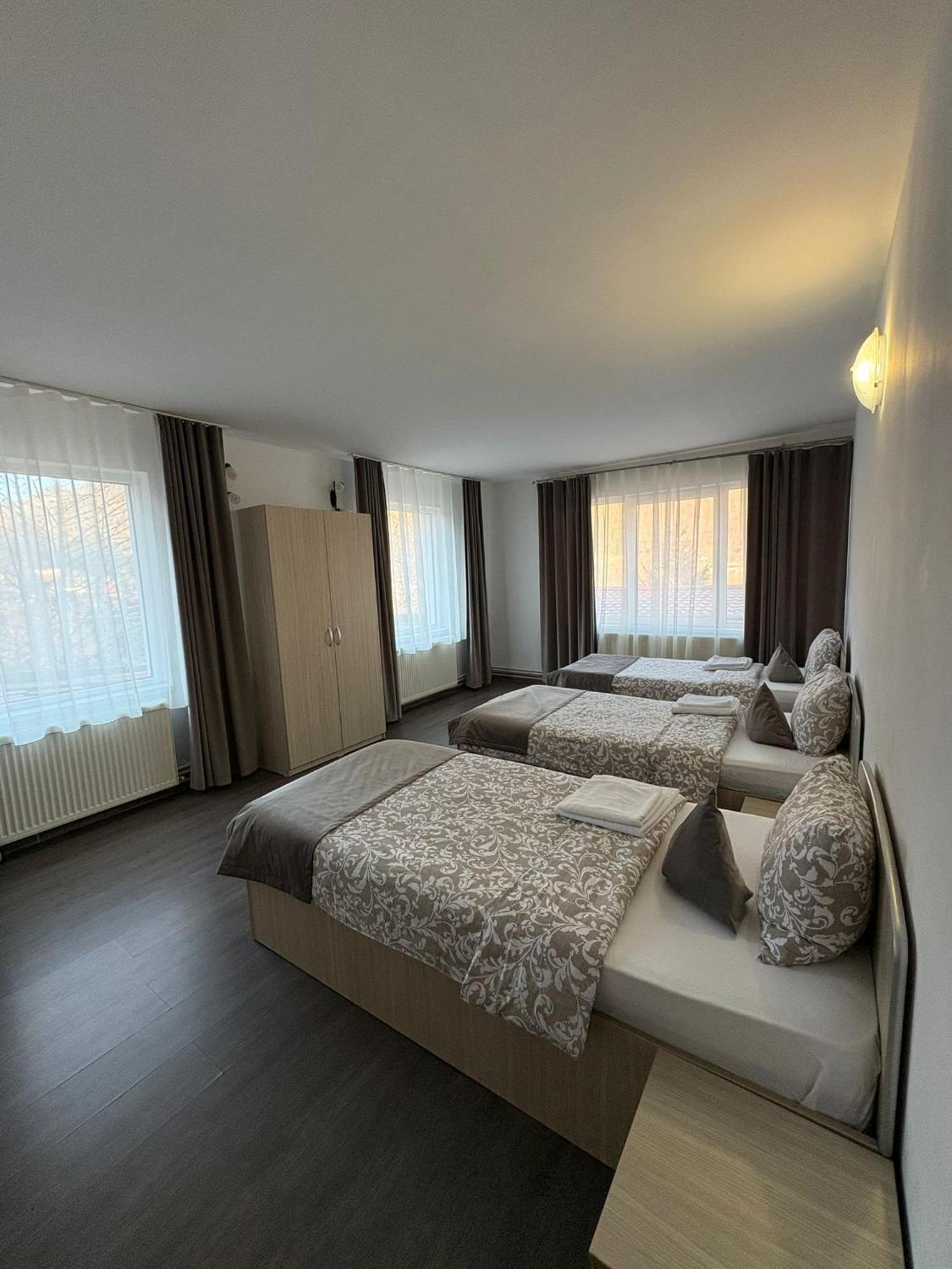Guest house Pensiunea Alpina 3*