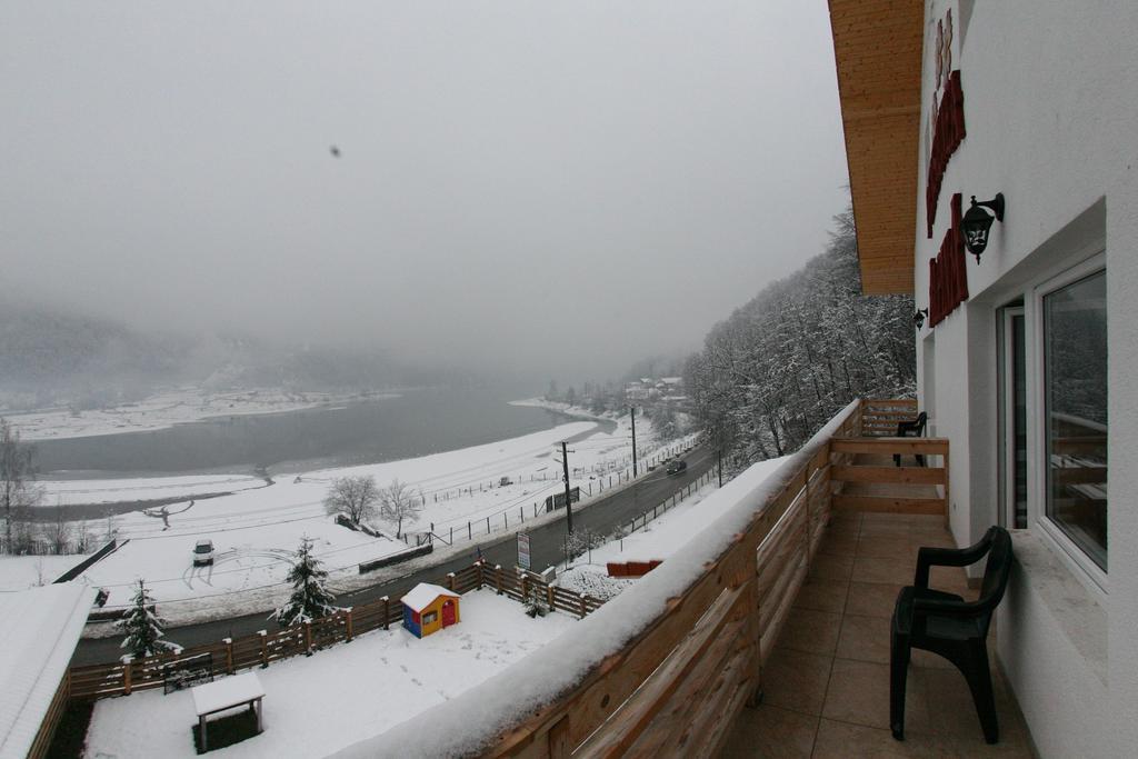 Pensiunea Alpina Gasthof
