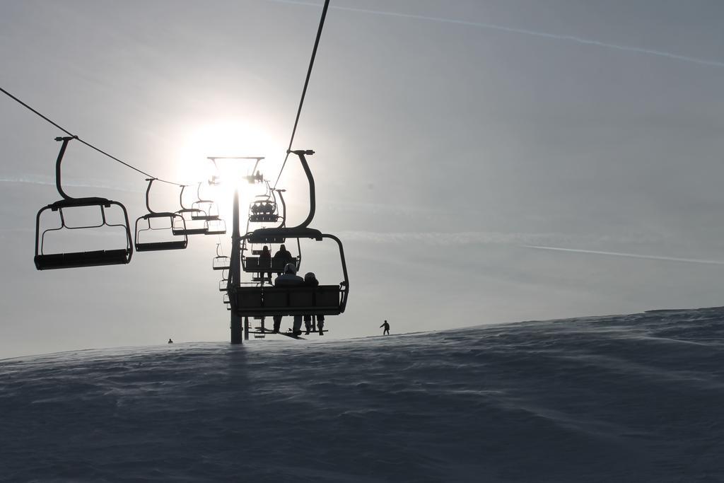 Pensiunea Alpina旅馆Malaia