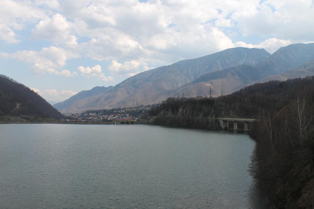 Pensiunea Alpina Gasthof