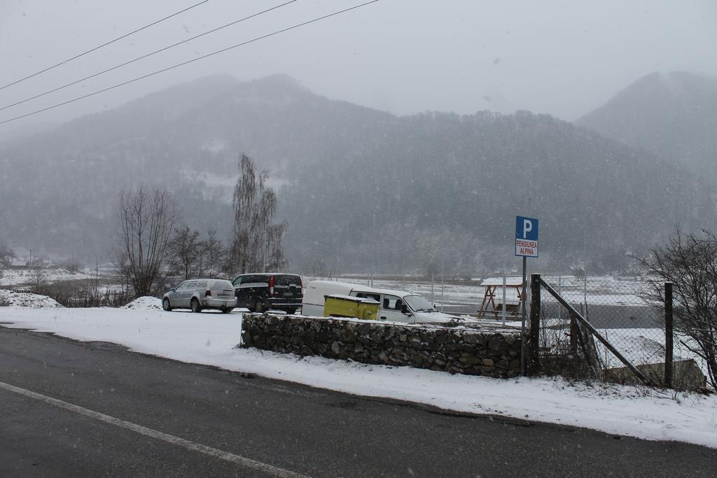 Gasthof Pensiunea Alpina Malaia