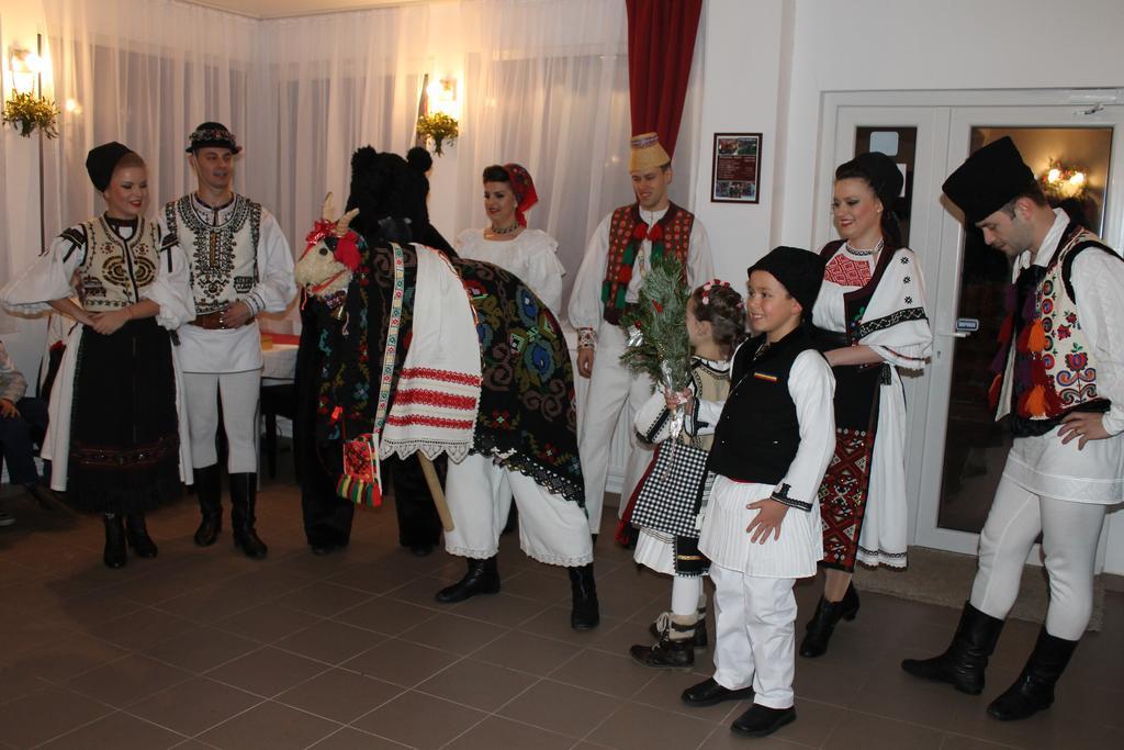 Pensiunea Alpina