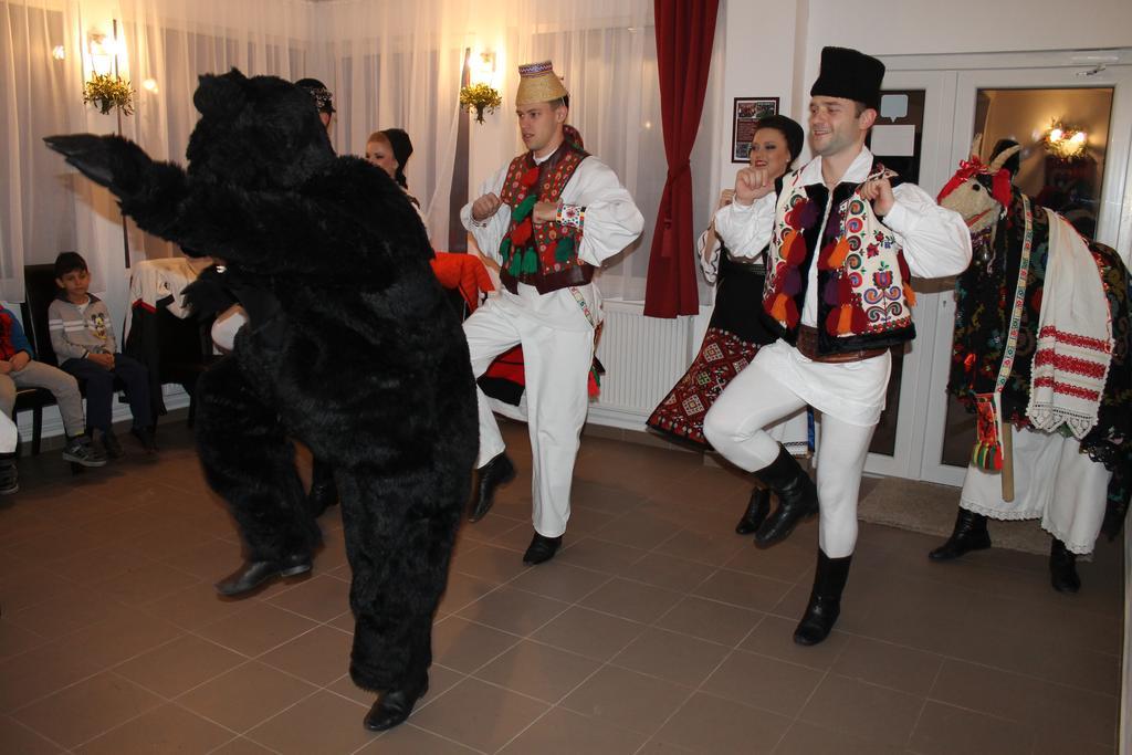Pensiunea Alpina Malaia